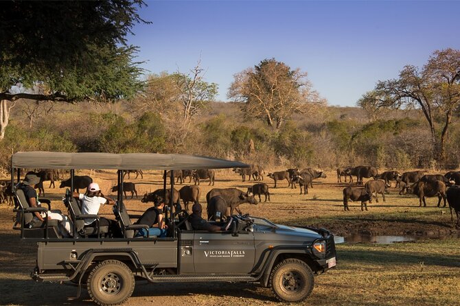 3-Day Victoria Falls Safari with Dinner Cruise - Day three: the calm finish and airport handoff