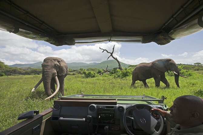 3-Day Victoria Falls Safari with Dinner Cruise - Who should book this safari package (and who might want something else)