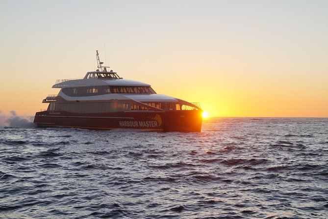 Afternoon Gordon River Dinner Cruise - Key things that make this dinner cruise worth it