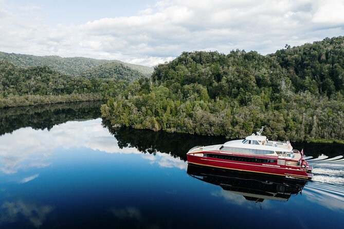 Afternoon Gordon River Dinner Cruise - Comfort, weather, and small things that make the difference