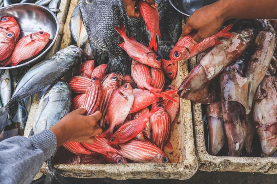 Bali: Jimbaran Seafood Market Tour with Sunset Dinner - Why Jimbaran Seafood Tours Feel More Real Than a Set Menu
