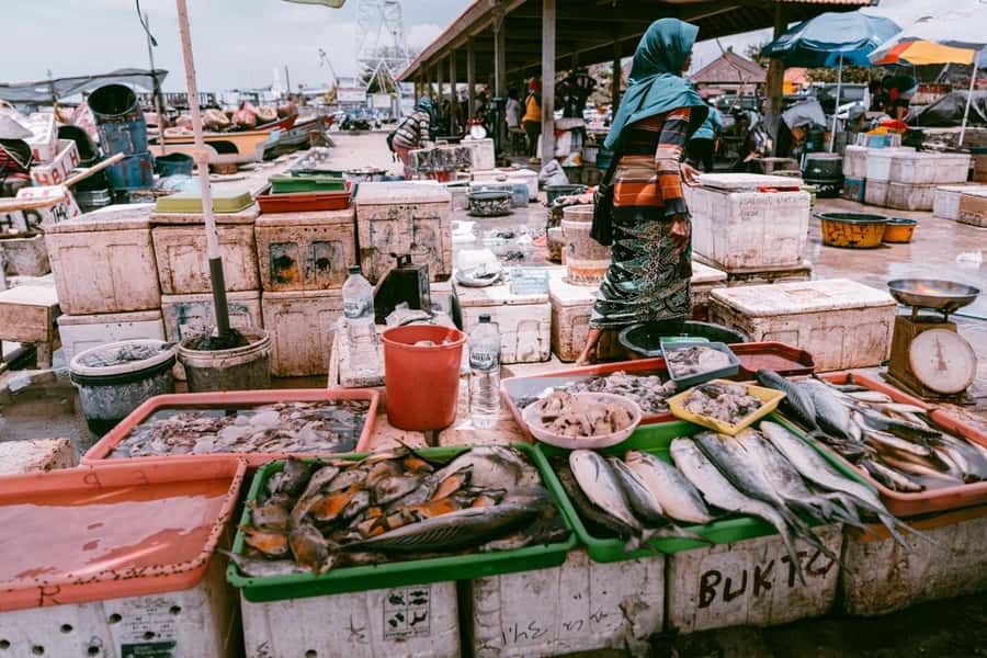 Bali: Jimbaran Seafood Market Tour with Sunset Dinner - Should You Book This Jimbaran Seafood Market Tour?