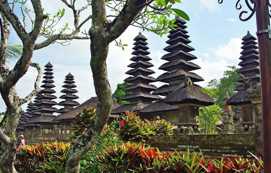 Bali : Tanah Lot Temple Tour with Sunset Dinner - Alas Kedaton Monkey Forest: tame monkeys, real temple grounds