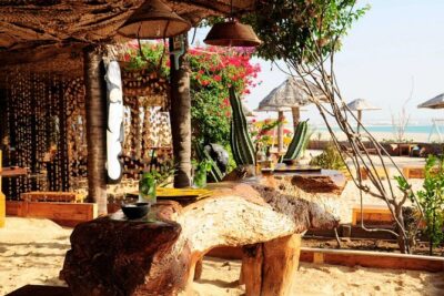 Boa Vista Sunset Dinner with Live Music - Buffet dinner: what you’ll eat and how to judge the value