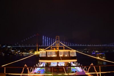Bosphorus Dinner Cruise with Folk Dance and Live Performances - The Turkish Night show: belly dancing, henna, Romany dance, and a live DJ
