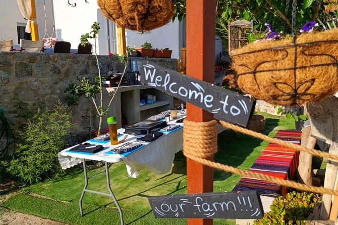 Cooking Class Sunset Dinner and Tour in Paros Farm - The sunset dinner show: wine, Greek music, and homemade extras