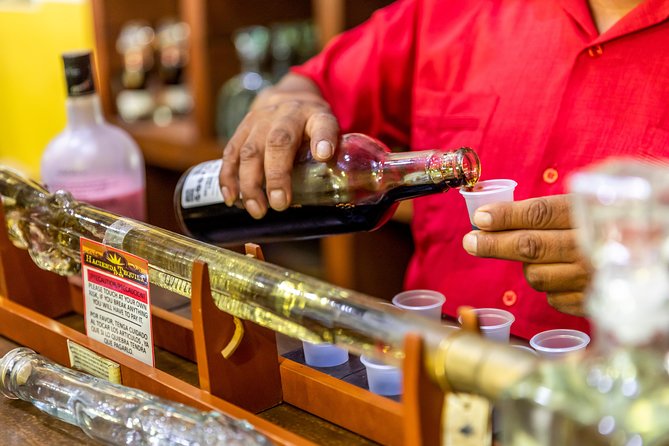 Dinner Cruise Tour in Cabo San Lucas with Tequila Tasting - Downtown shopping time in Los Cabos: souvenirs, jewelry, and sales pressure