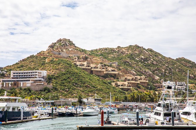 Dinner Cruise Tour in Cabo San Lucas with Tequila Tasting - The sunset dinner cruise on a catamaran: buffet dinner, open bar, and live entertainment