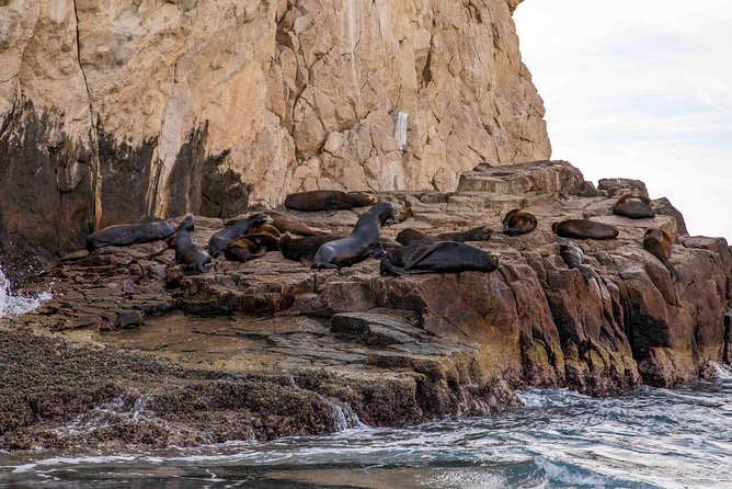 Dinner Cruise Tour in Cabo San Lucas with Tequila Tasting - Choosing your vibe: party upstairs vs a calmer lower deck