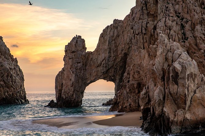 Dinner Cruise Tour in Cabo San Lucas with Tequila Tasting - Value check: what $135 gets you, plus the $5 government fee