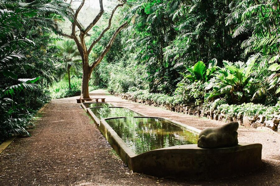 Kauai: Allerton Garden and Estate Tour with Sunset Dinner - Should You Book This Kauai Sunset Garden and Estate Tour?
