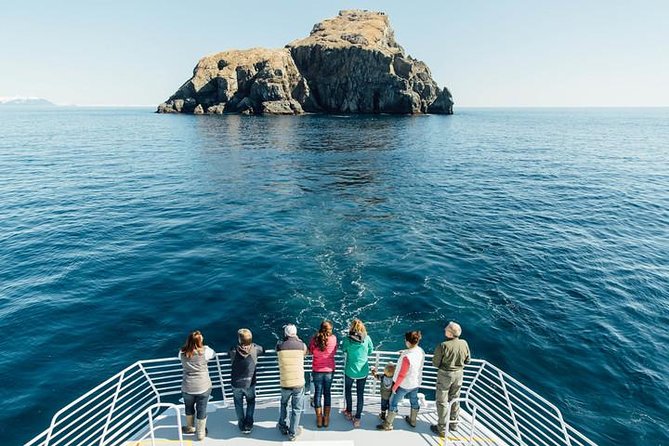 Kenai Fjords National Park Glacier Dinner Cruise from Seward - Who this cruise fits best (and who might want a shorter option)