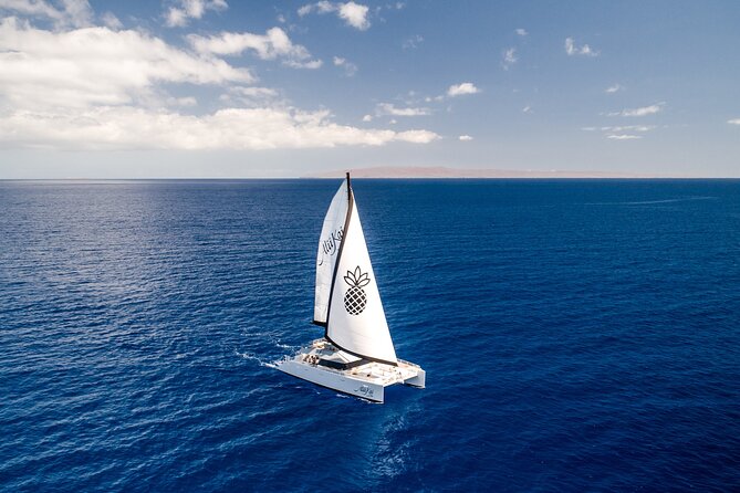 Luxury Catamaran Royal Sunset Dinner Sail (Adults-Only) - Key highlights at a glance