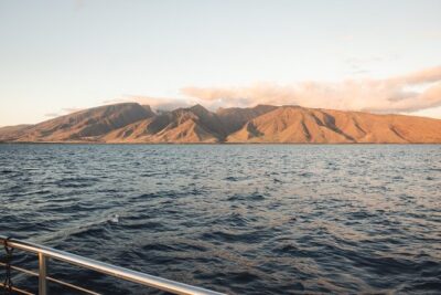 Luxury Catamaran Royal Sunset Dinner Sail (Adults-Only) - The catamaran feel: deck space, comfort, and sunset timing