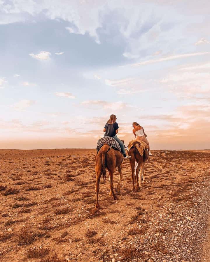 Marrakech: Agafay Desert Escape with Quad or Camel Ride - Desert pool time: the underrated part of the evening