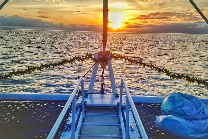 Maui Premium Sunset Dinner Cruise from Ka’anapali Beach - Whale watching December 15 to April 15: what to expect