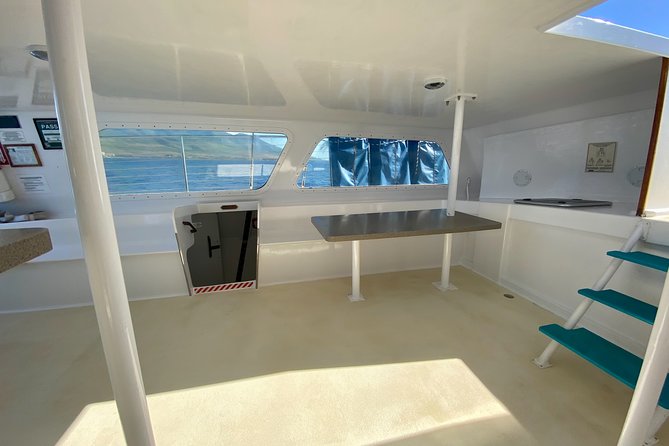 Maui Premium Sunset Dinner Cruise from Ka’anapali Beach - Value check: is $166.31 a good deal for a Maui sunset night?