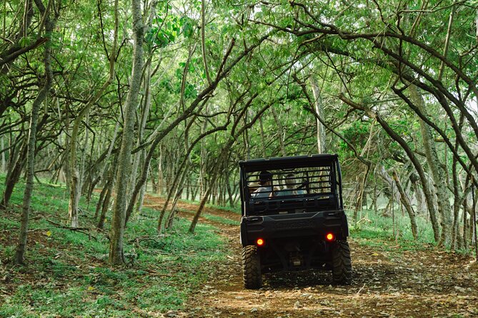 Private Off-Road Sunset Dinner - Private Means Yours: Why Group Size Changes the Whole Evening