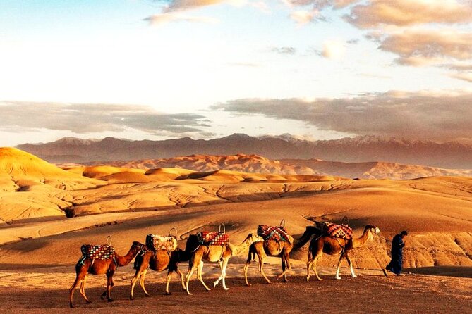 Sunset Dinner in Marrakech Desert with Quad bike - Key points at a glance
