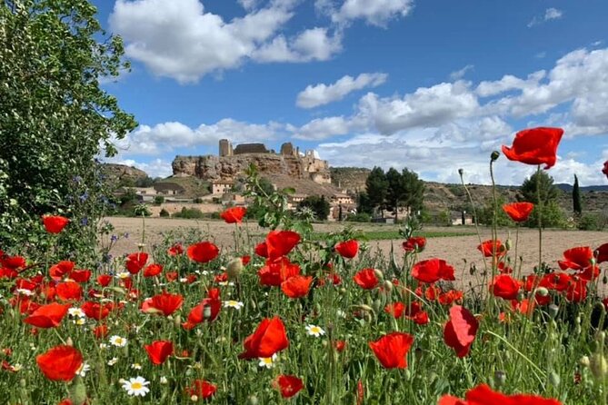 Sunset Dinner with a Private Chef by a 10th Century Castle - Stop 2: Castillo de Zorita de los Canes and the Valley Overlook