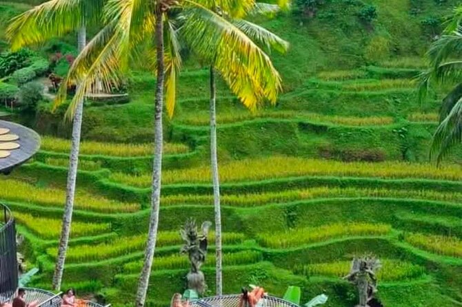 Sunset Sailboat Dinner Cruise & Private Ubud highlights Tour. - Uma Pakel Agro Tourism (30 minutes): a short tasting stop with real value