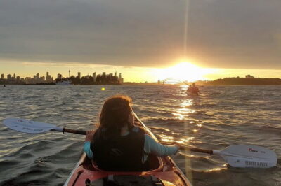 Sydney Harbour Sunset Dinner Paddle - Shark Island dinner with a proper gourmet picnic