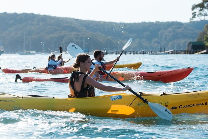 Sydney Harbour Sunset Dinner Paddle - Weather, timing, and what to bring to feel prepared