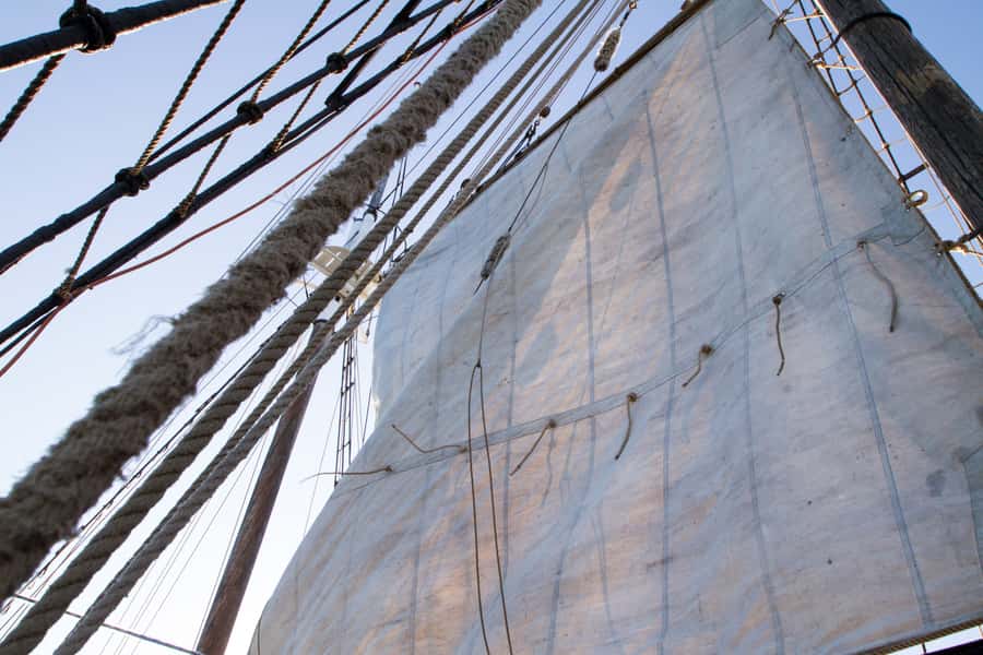 Sydney: Tall Ship Harbour Twilight Dinner Cruise - Getting hands-on: sails, steering, and the shipboard vibe