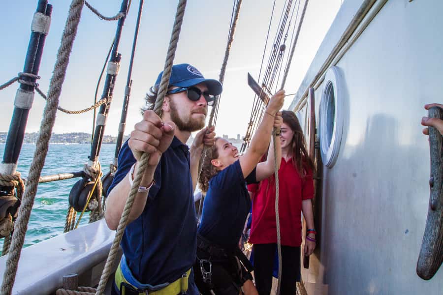 Sydney: Tall Ship Harbour Twilight Dinner Cruise - Who should book (and who should skip)