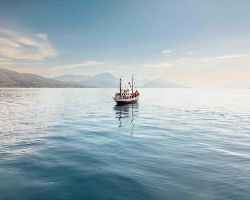 Tromsø: Northern Lights Dinner Cruise - The 3-Course Menu From Dragøy: Fish Cake, Soup, and Lefse