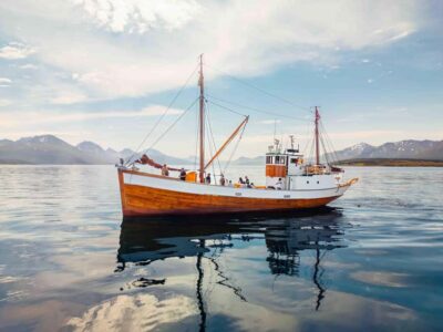 Tromsø: Northern Lights Dinner Cruise - Pier 12 to the Fjords: How the 3 Hours Typically Feel