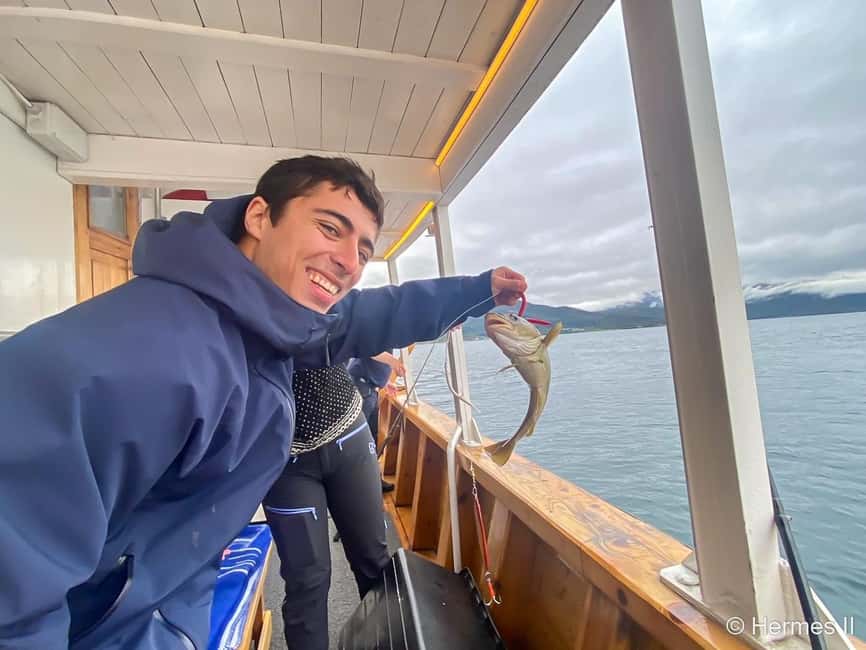 Tromsø: Northern Lights Dinner Cruise - Price and Value at $198: What You’re Actually Paying For