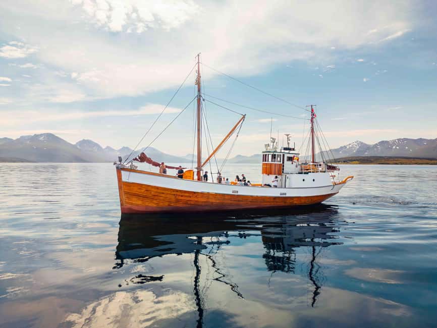 Tromsø: Northern Lights Dinner Cruise - Pier 12 to the Fjords: How the 3 Hours Typically Feel