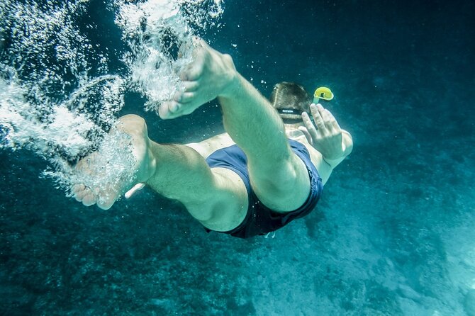 Ultimate Key West Day: Dolphin & Snorkel Combo with Sunset Sail - The Big Break: two cruises means you need a plan